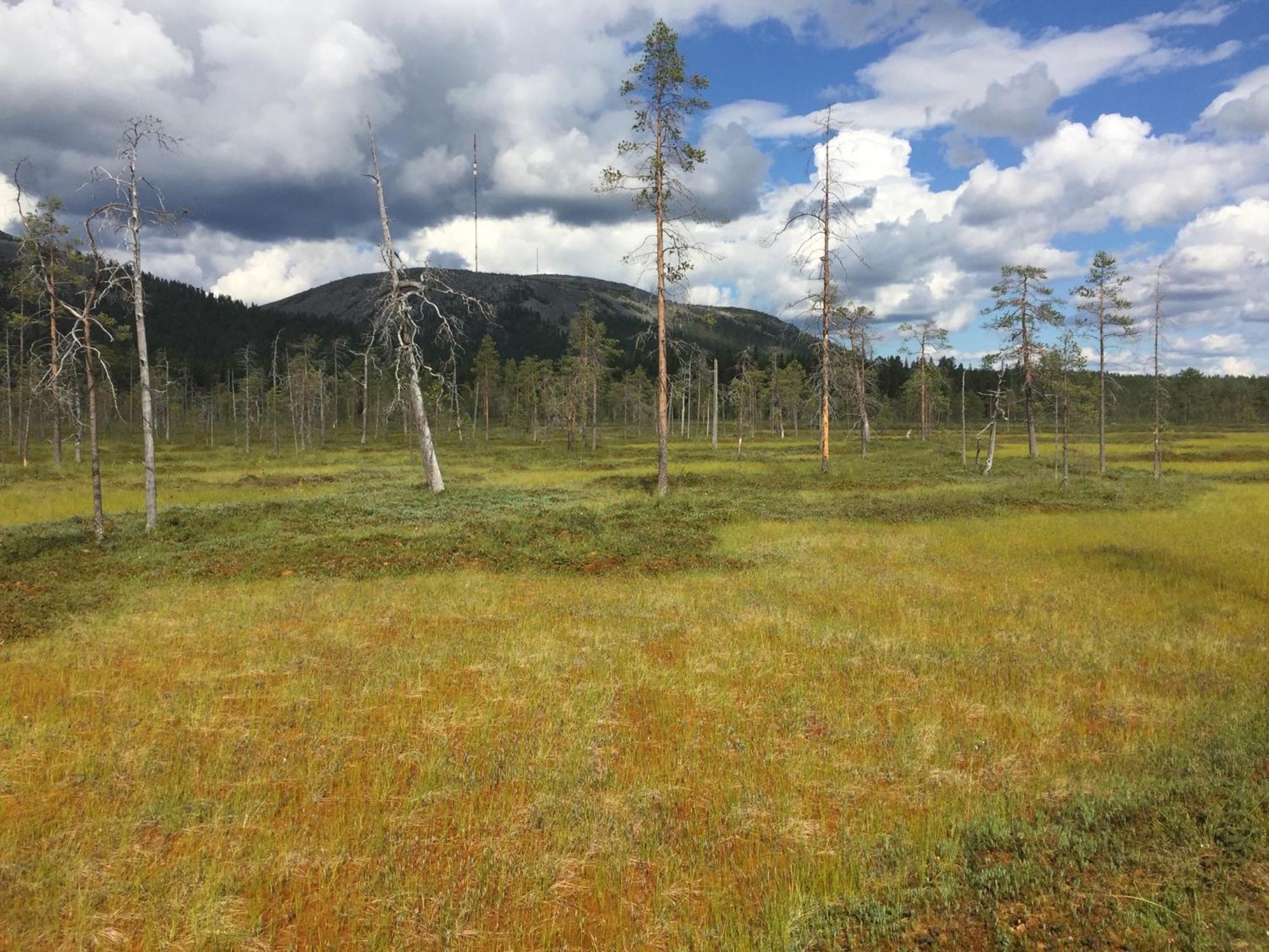Ankkalinna Pyhätunturi Esterno foto
