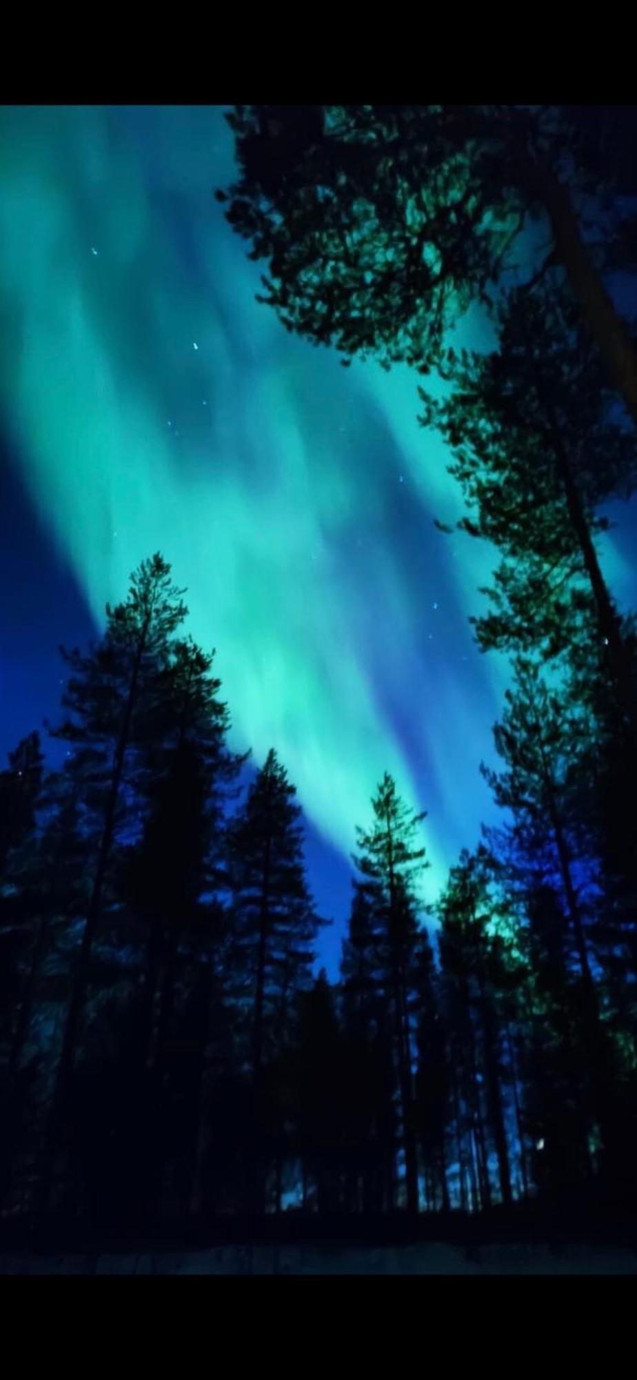 Ankkalinna Pyhätunturi Esterno foto